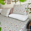 set-ga-goi-cotton-hoa-sac-mau-sggct183