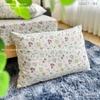 set-ga-goi-cotton-hoa-sac-mau-sggct183
