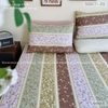 set-ga-goi-cotton-hoa-soc-nau-sggct212