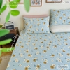 set-ga-goi-cotton-cuc-nau-sggct239