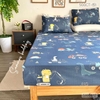 set-ga-goi-cotton-o-to-khung-long-sggct151