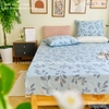set-ga-goi-cotton-la-xanh-sggct180
