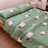 set-ga-goi-cotton-cuu-sggct69
