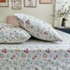 set-ga-goi-cotton-hoa-sac-mau-sggct183