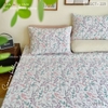 set-ga-goi-cotton-co-hong-sggct223