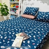 set-ga-goi-cotton-vu-tru-sggct07