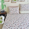 set-ga-goi-cotton-hoa-nhi-day-leo-sggct238