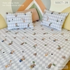 set-ga-goi-cotton-rap-xiec-sggct218