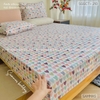set-ga-goi-cotton-trai-tim-sac-mau-sggct210