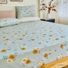 set-ga-goi-cotton-cuc-nau-sggct239