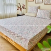 set-ga-goi-cotton-co-hong-sggct223
