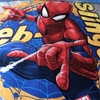 chan-ga-disney-spider-man-sfdn34