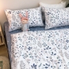 full-set-cotton-la-nho-sfct88