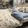 full-set-cotton-la-tho-sfct87