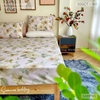set-ga-goi-cotton-hoa-nen-hong-sggct160