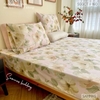 set-ga-goi-cotton-hoa-nen-hong-sggct160