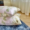 set-ga-goi-cotton-hoa-nen-hong-sggct160