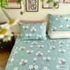 set-ga-goi-cotton-hoa-cuc-trang-nen-xanh-sggct161