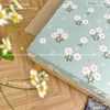 set-ga-goi-cotton-hoa-cuc-trang-nen-xanh-sggct161