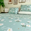 set-ga-goi-cotton-hoa-cuc-trang-nen-xanh-sggct161