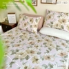 set-ga-goi-cotton-hoa-nen-hong-sggct160