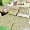 set-ga-goi-cotton-hoa-nhi-nen-xanh-com-sggct167