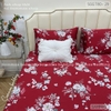 set-ga-goi-tencel-80s-hoa-hong-sggt80-029