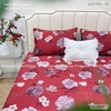 set-ga-goi-tencel-80s-hoa-do-sggt80-033