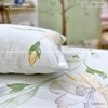 set-ga-goi-tencel-80s-hoa-lan-sggt80-027