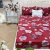 set-ga-goi-tencel-80s-hoa-do-sggt80-033