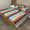 set-ga-goi-cotton-cau-vong-sao-nho-sggct55