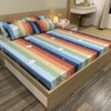 set-ga-goi-cotton-cau-vong-sao-nho-sggct55