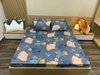 set-ga-goi-cotton-hoa-tiet-la-cam-nen-xanh-sggct56