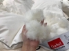 ruot-chan-long-vu-gabel-srclv01