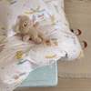 full-set-cotton-chuot-sfct66