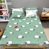 set-ga-goi-cotton-cuu-sggct69