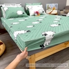 set-ga-goi-cotton-cuu-sggct69