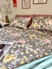 set-ga-goi-cotton-hoa-nen-nau-sggct79