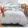 full-set-cotton-chim-sfct138