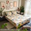 set-ga-goi-cotton-meo-than-tai-sggct84