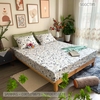 set-ga-goi-cotton-hoa-nhi-sggct85