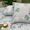 set-ga-goi-tencel-la-nen-xanh-sggtc-002