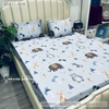 set-ga-goi-tencel-cac-con-thu-sggtc-009
