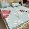 set-ga-goi-tencel-hoa-sggtc-016