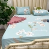 set-ga-goi-tencel-hoa-sggtc-016