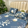 set-ga-goi-modal-mat-trang-sggmd-002