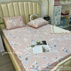 set-ga-goi-modal-hoa-nen-hong-sggmd-004