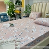 set-ga-goi-modal-hoa-nen-hong-sggmd-004