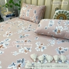 set-ga-goi-modal-hoa-nen-hong-sggmd-004