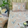 set-ga-goi-modal-hoa-nen-hong-sggmd-004